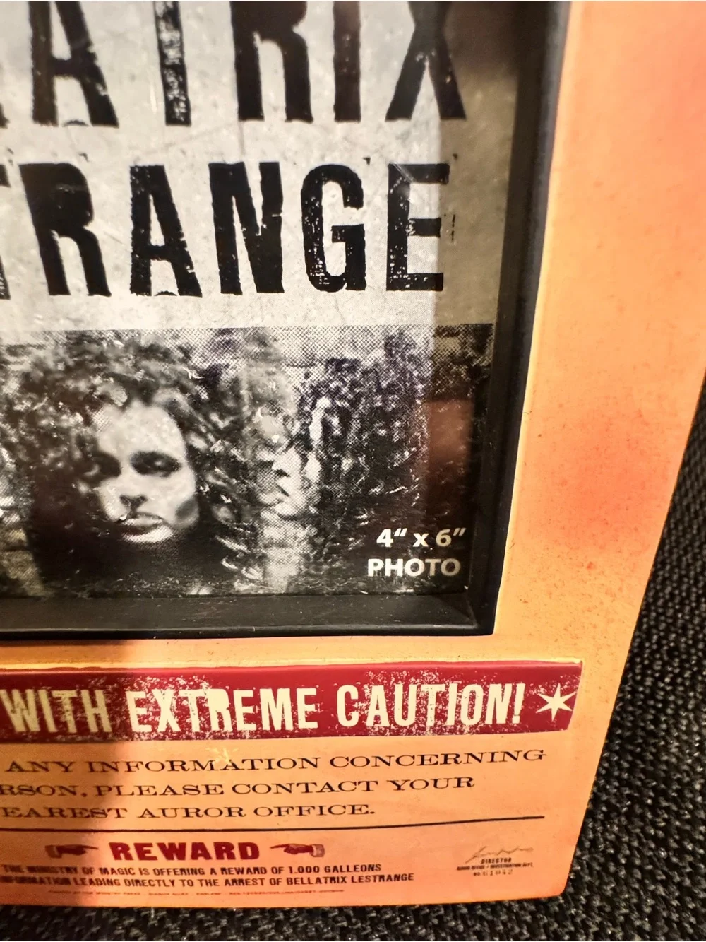 Harry Potter Bellatrix Lestrange Have You Seen This Witch? 4x6 Picture Frame